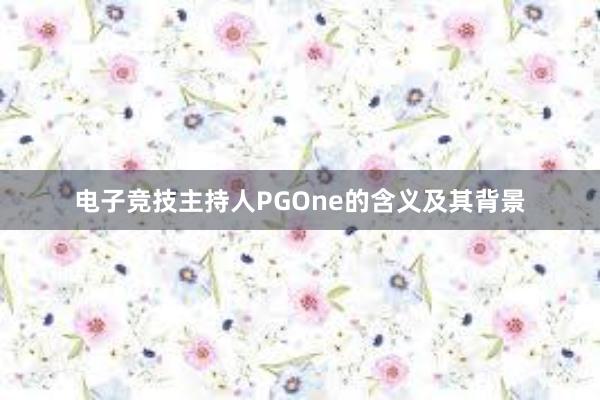 电子竞技主持人PGOne的含义及其背景