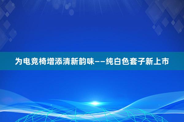 为电竞椅增添清新韵味——纯白色套子新上市