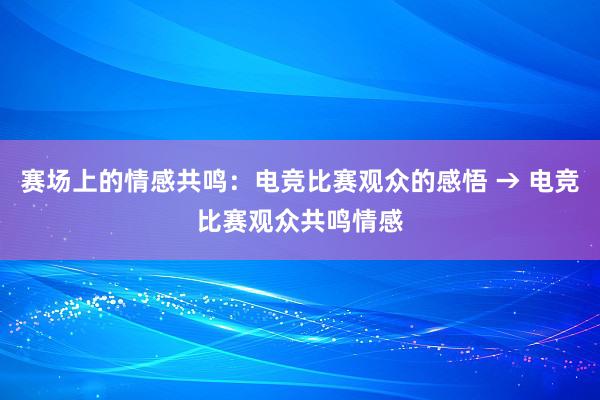 赛场上的情感共鸣：电竞比赛观众的感悟 → 电竞比赛观众共鸣情感