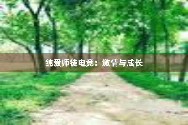 纯爱师徒电竞：激情与成长