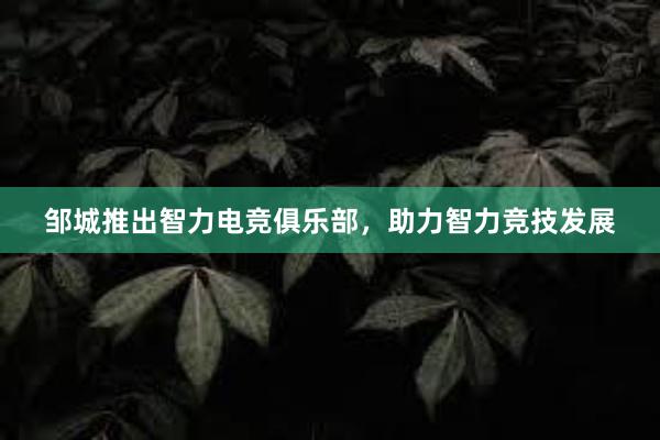 邹城推出智力电竞俱乐部，助力智力竞技发展