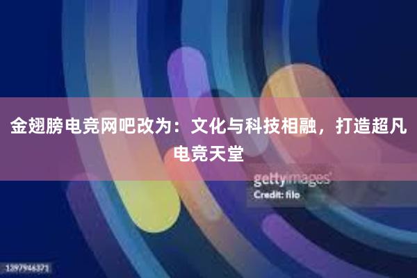 金翅膀电竞网吧改为：文化与科技相融，打造超凡电竞天堂